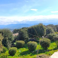 Apartment 3 rooms with garden in Ajaccio