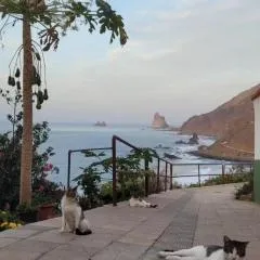 Casa Manolo Paraíso Beach Relax-Trail-Surf-Photo