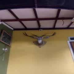 OYO Life 90646 Villa Karsinem Pasuruan