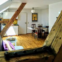 Charmant wohnen am Fuße des Kassbergs