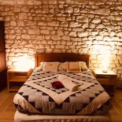 Maison familiale jardin wifi 17km Beauval