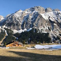 Grand Chalet - Coeur de la montagne
