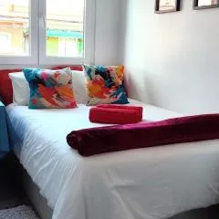 Habitación paloma