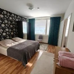 Snow Pearl Kemi City Apartment
