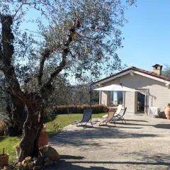 Oliveto Tuscany