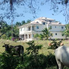 Villa Magante