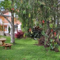 Finca Villla las Palmas