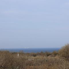 Les 4 oies - Wimereux