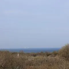 Les 4 oies - Wimereux