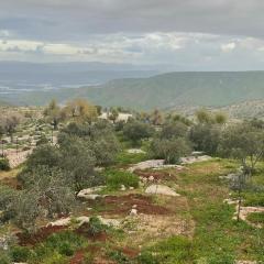 Al-Yarmouk sanctuary