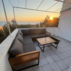 Sol Insula