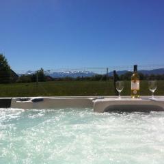 Duplex maison GRAND SPA 62 jets massants face Pyrénées