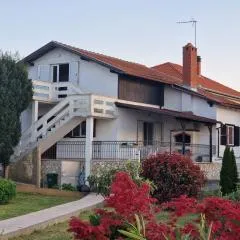 Dario studio apartman