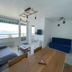 Les Carlines 1793 T2 4-6 pers avec vue panoramique