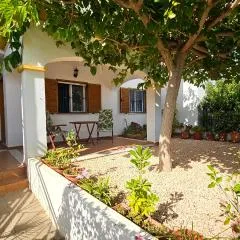 Apartamento de 2 dormitorios en Veramar 5 Primera Linea de Playa