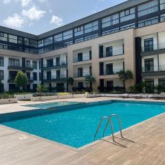 Luxury plus two bed room duplex embassy Gardens