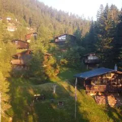 Almhaus Goldeck