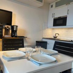 Appartement 4 personnes Samoëns 1600