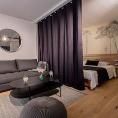 Filatiers 8 - Carmes hypercentre - 1 min du métro