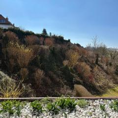 Ferienbutze Harz Drachenperle