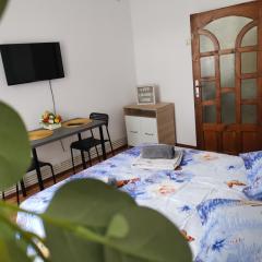 Studio STEFAN Campulung Muscel