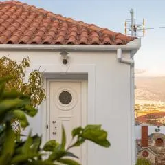 The courtyard house