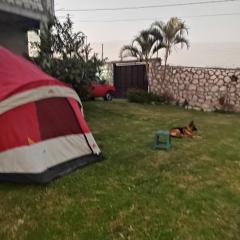 Nada y acampa con tus perritos