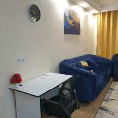 luxurious one bedroom apartment with fully equipped gym swimming pool private parking and scenic city views