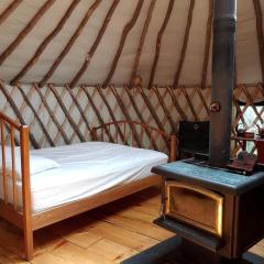 Cozy Yurt in the Peaceful Woods in Chatham, NH