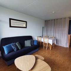 Studio cosy 4 pers. pied de pistes, animaux admis - FR-1-404-5