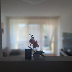 Ferienwohnung Shirin