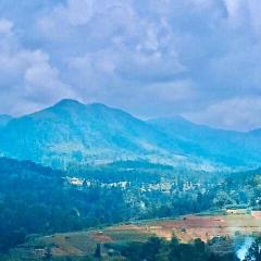 Blue mountain view resort