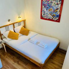 Appt cosy au centre de Chamonix