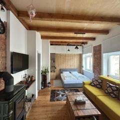 Vintage Modern Apartment Old Town Bratislava
