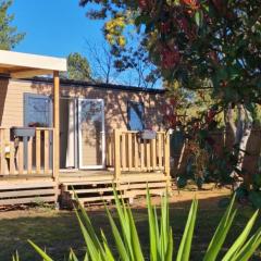 Mobilhome 6 personnes climatisation, TV, lave-vaisselle, 2 salle de bain, 3 chambres au camping Les Vignes à Lit-et-Mixe dans les Landes avec piscine,