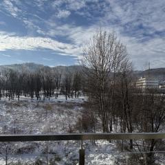 Flow Spot - Apartament z Widokiem na Szyndzielnię