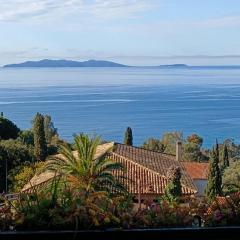 Apartment with terraces in Rayol-Canadel-sur-Mer
