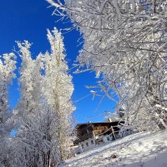 Berg-Panorama-Ferienwohnungen Gut-Lichtenau