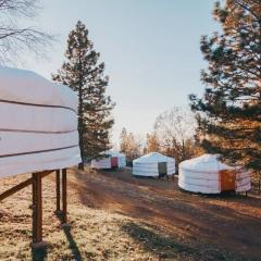 Glamping yurt at nature retreat in Sequoia NForest