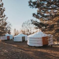 Cosy yurt at a nature retreat