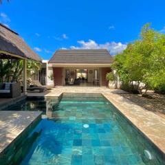 Large villa with private pool and tropical garden