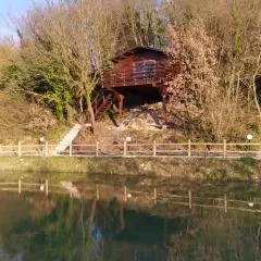ANIMA MUNDI case SULL'ALBERO