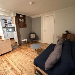 Cozy 2-bedroom apartment in the city centre
