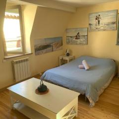 Charming flat middle of Trouville, 150m from beach