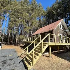 UP Escape in the Pines