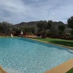 Olivares Rural