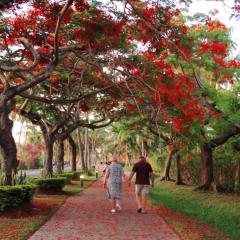 Denarau Luxury Guesthouse