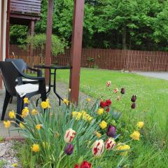 Apartament Kolorowy pod Śnieżką