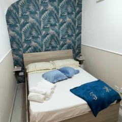 Titti House