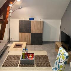 Magnifique T2 Cosy refait à neuf